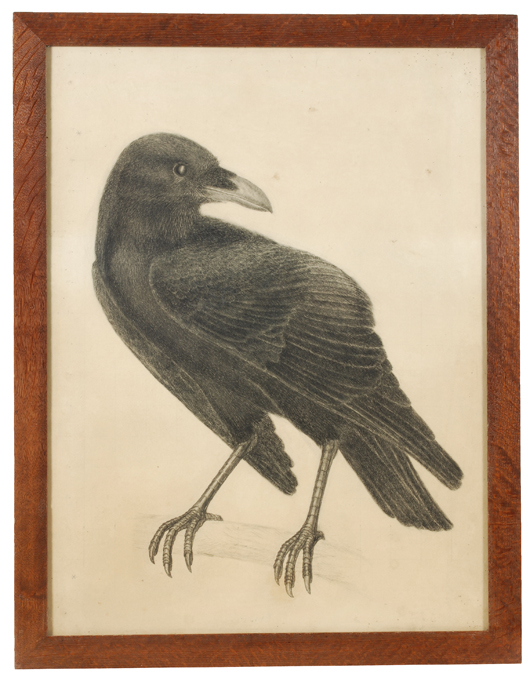 Philip Webb (1831-1915), the drawing of a raven for the Morris & Co. tapestry ‘The Forest.’ Dreweatts & Bloomsbury Auctions image.