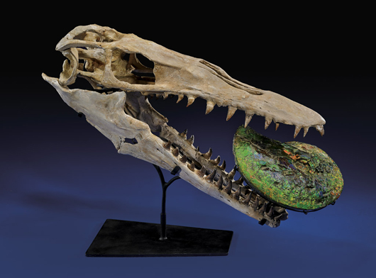 Mosasaurus skull, origin Morocco from Bearpaw Formation in southern Canada with brilliantly colored ammonite. Estimate $30,000-$38,000.