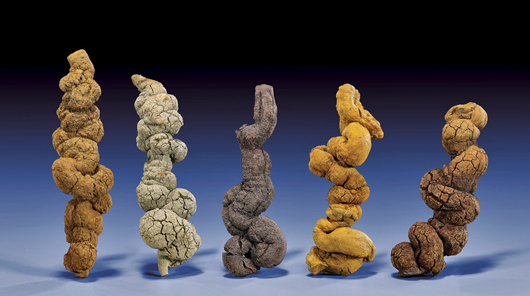Collection of naturally colored fossil dung, origin Lewis County, Washington. Estimate $2,500-$5,000. I.M. Chait image.