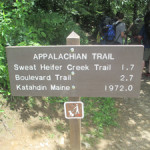 The Appalachian Trail at Newfound Gap in the Great Smoky Muntains National Park. Image by Billy Hathorn. This file is licensed under the Creative Commons Attribution 3.0 Unported license.