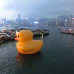 'Rubber Duck' by Dutch artist Florentijn Hofman. Image taken on May 3, 2013 at Ocean Terminal, Hong Kong. Licensed under the Creative Commons Attribution-Share Alike 3.0 Unported license.