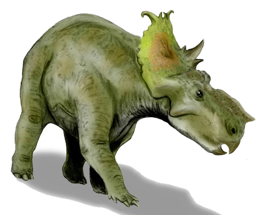 Digital and color pencil re-creation of a Pachyrhinosaurus lakustai, a ceratopsian from the Late Cretaceous of North America, closely related to the new species called Pachyrhinosaurus perotorum. Drawing by Nobu Tamura, licensed under the Creative Commons Attribution 3.0 Unported license.
