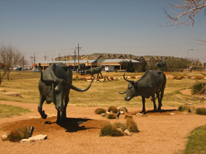 Sculptures of cattle outisde the National Ranching Heritage Center, Texas Tech University, Lubbock, Texas. Photo by Billy Hathorn, licensed under the Creative Commons Attribution 3.0 Unported license.