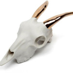 Christine Facella, a Brooklyn, N.Y.-based artist, uses her talent as an illustrator and model maker to create anatomically correct porcelain skulls of North American wilderness animals. This depiction of a goat skull has 14K gold horns and measures approximately 10.5in x 3.75in x 4in. Image courtesy of Christine Facella, www.beetleandflor.com.