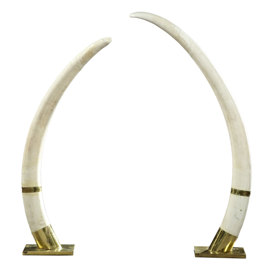 Pair of large mid-20th century African ivory elephant tusks, 60 inches tall and 79 1/2 inches long. Crescent City Auction Gallery LLC image.