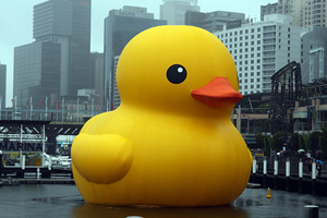 Dutch artist Florentijn Hofman's 'Rubber Duck' on display in Sydney, Australia in January. Image by Eva Rinaldi. This file is licensed under the Creative Commons Attribution-Share Alike 2.0 Generic license.