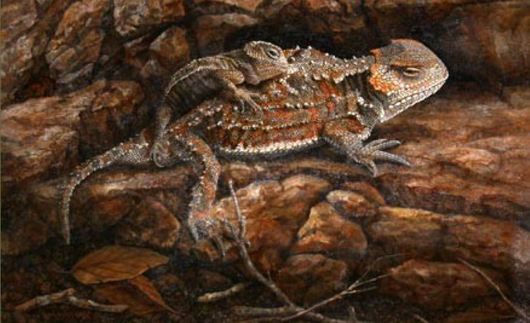 The winner of the 2013 Wyoming Game and Fish Department Conservation Stamp Art Competition was Karla Mann of Virginia Beach, Va., who created this painting of a greater short horned lizard (Phyrynosoma hermandesi) with offspring. Image courtesy of Wyoming Game and Fish Department.