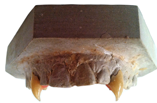 Pair of hero screen-used canine ‘vampire teeth’ used by Wesley Snipes in his starring role in ‘Blade’ (1998), displayed in the actual plaster cast of his upper row of teeth. The vampire teeth are removable from the casting. Premiere Props image. 