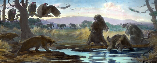 Rancho la Brea Tar Pool. Restoration by Charles. R. Knight for Amer. Mus. (N.Y.) mural decorations 9' by 12' in hall of the Age of Man. One sloth (Mylodon, now Paramylodon) trapped, two guarding against Sabre Tooth (Smilodon). Condors (unidentified further, may be Teratornis or a California condor) waiting on McNabb's cypress. In the rear of pool which has yeilded much elephant material. San Gabriel range with Mt. Lowe center and Mt. Wilson at right of erect sloth. Old Baldy at right. The Jesse Earl Hyde Collection, Case Western Reserve University (CWRU) Department of Geological Scienceshttp://geology.cwru.edu/~huwig/