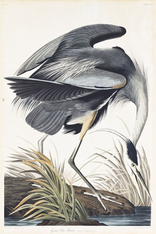 Lot 162: Audubon hand-colored engraving, 'Great Blue Heron. Area herodius.' Plate CCXI, 1834. Sold for $62,500. Leslie Hindman Auctioneers image.