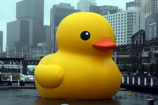 One of the quirky highlights of Sydney Festival 2013 was Dutch artist Florentijn Hofman's Rubber Duck. Made of a PVC material similar to that used in jumping castles, the duck was constructed in New Zealand by a company that specializes in sewing stadium rooftops and large sails. Photo by Eva Rinaldi from Sydney, licensed under the Creative Commons Attribution-Share Alike 2.0 Generic license.