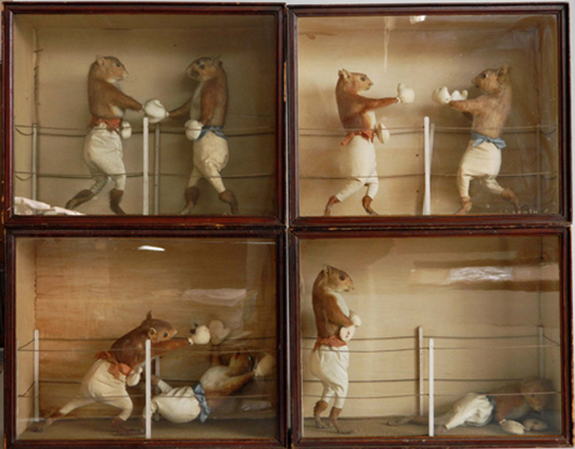 Four pairs of stuffed squirrels, posed in a boxing ring, were sold as single lots for prices ranging from $17,700 to $22,420. Image courtesy of Rachel Davis Fine Arts.