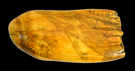 Scrimshaw whale's tooth, 7 inches long, circa 1820, showing a whale hunt, est. $2,000-$4,000. Louis J. Dianni LLC image.