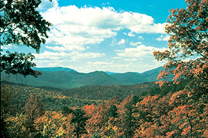 An autumn view of the Great Smoky Mountains from Heintooga Ridge Road near Asheville, N.C. National Park Service image.