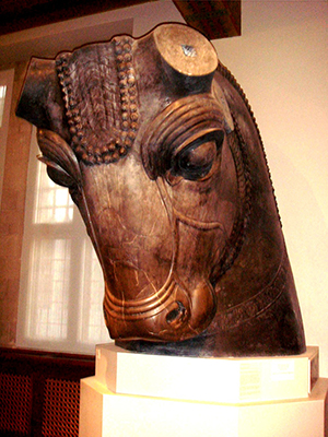 Head of a bull that once guarded the entrance to the Hundred-Column Hall at Persepolis in present-day Iran. The artifact is in the collection of the Oriental Institute in Chicago. Image by Nathaniel.Ioman at en.wikipedia.