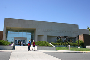 Big Mike, a bronze version of the Tyrannosaurus rex, stands in front of the Museum of the Rockies. Image by Jllm06, courtesy of Wikimedia Commons.