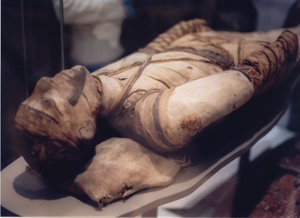 A mummy in the British Museum. Image by Klafubra. This file is licensed under the Creative Commons Attribution-Share Alike 3.0 Unported license.