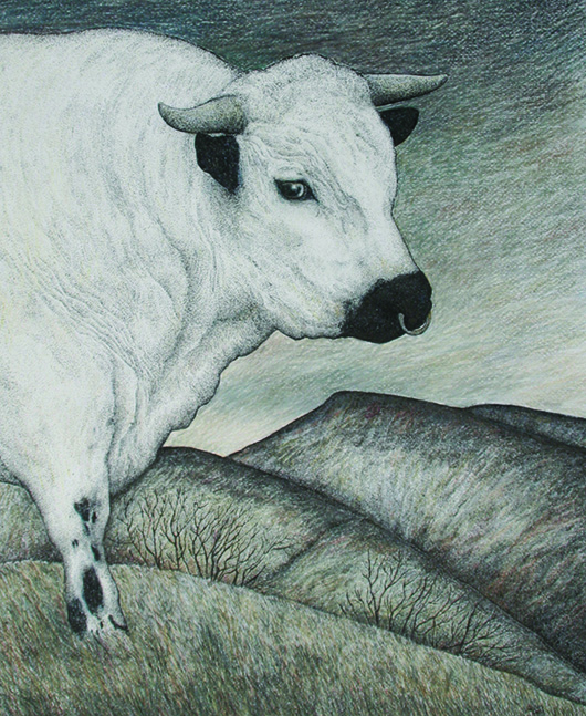 Seren Bell, Chartley Park Bull,' crayon, pencil and ink, 22.5 x 18.5 inches