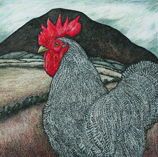 Seren Bell, 'Maran cockerel,' crayon, pencil and ink, 13 x 13 inches