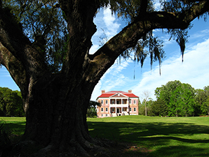 The Drayton Hall plantation house viewed from behind a prominent Live Oak on the premises. Image by Jonathan Lamb, courtesy of Wikimedia Commons.