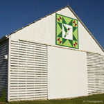 A barn displaying a quilt block in central Illinois. Image courtesy of Barn Quilt Heritage Trail, McLean County, Ill. http://www.mcleancountybarnquilts.com/