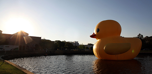 Florentijn Hofman, who created the 40-foot-tall 'Rubber Duck,' is a 37-year-old Dutch artist known for large-scale urban installations. Image courtesy of Chrysler Museum of Art.
