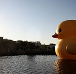 Florentijn Hofman, who created the 40-foot-tall 'Rubber Duck,' is a 37-year-old Dutch artist known for large-scale urban installations. Image courtesy of Chrysler Museum of Art.