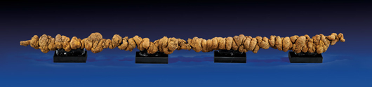 Measuring 40 inches, possibly the longest known example of fossilized dinosaur dung, also known as a coprolite. Origin: Wilkes Formation, Toledo, Lewis County, Washington. Estimate: $8,000-$10,000. I.M. Chait image