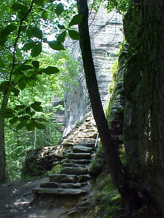 Stone stairway leading down from Rimrock Overlook in the Allegheny National Forest. Photo copyright 2005 by drlareau.com, licensed under the Creative Commons Attribution 2.5 Generic license.