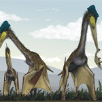 How many slumber parties have a guest list that includes pterosaurs, such as the giant azhdarchids shown in this life restoration? Fossils and models of prehistoric creatures will be on hand to amuse overnighters at the American Museum of Natural History's August 1st sleep-over. Image by Mark Witton and Darren Naish, from 'A Reappraisal of Azhdarchid Pterosaur Functional Morphology and Paleoecology. PLoS ONE 3(5): e2271,' 2008. Licensed under the Creative Commons Attribution 3.0 Unported license.