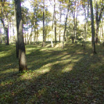 Woodland conical mounds at Effigy Mounds National Monument in Clayton County, Iowa. Image by Billwittaker. This file is licensed under the Creative Commons Attribution-ShareAlike 3.0 Unported License.
