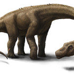 Artist rendering of the Dreadnoughtus. Illustration by Jennifer Hall. This file is licensed under the Creative Commons Attribution-ShareAlike 3.0 License.