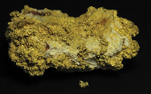 A 7.3-ounce California gold specimen that sold at auction in October 2010. Image courtesy of LiveAuctioneers.com archive and Holabird-Kagin Americana.