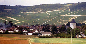 Vineyards in the Champagne region of France. Image by Agne27. This file is licensed under the Creative Commons Attribution 2.0 Generic license.