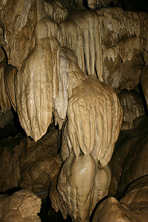 'Banana Grove' flowstone in the Oregon Caves National Monument. Image by Roger Brandt, National Park Service, courtesy of Wikimedia Commons.