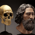 Kennewick Man, skull and reconstruction, 2014. Image courtesy of Wikimedia Commons.