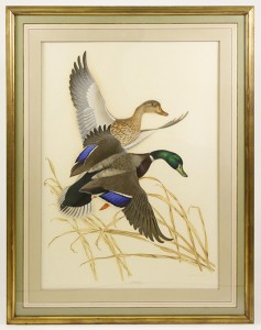 Two gouache under glass paintings of ducks in flight by Athos Menaboni (one shown) will be sold. Ahlers & Ogletree image