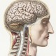‘Traite complet de l'anatomie de l'homme, comprenant la medicine operatoire’ by Jean Baptiste Marc Bourgery, Paris, 1840. PBA Galleries image