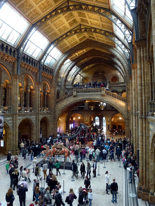 The main hall of London's Natural History Museum. Image by Pascal Terjan. This file is licensed under the Creative Commons Attribution-ShareAlike 2.0 Generic license.