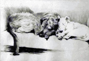 Cracker and Micky, sporting artist Cecil Aldin’s favorite dogs, a limited edition, signed and dated drypoint etching, titled A Temporary Partnership, sold for £1,400. Photo: Capes Dunn Auctioneers
