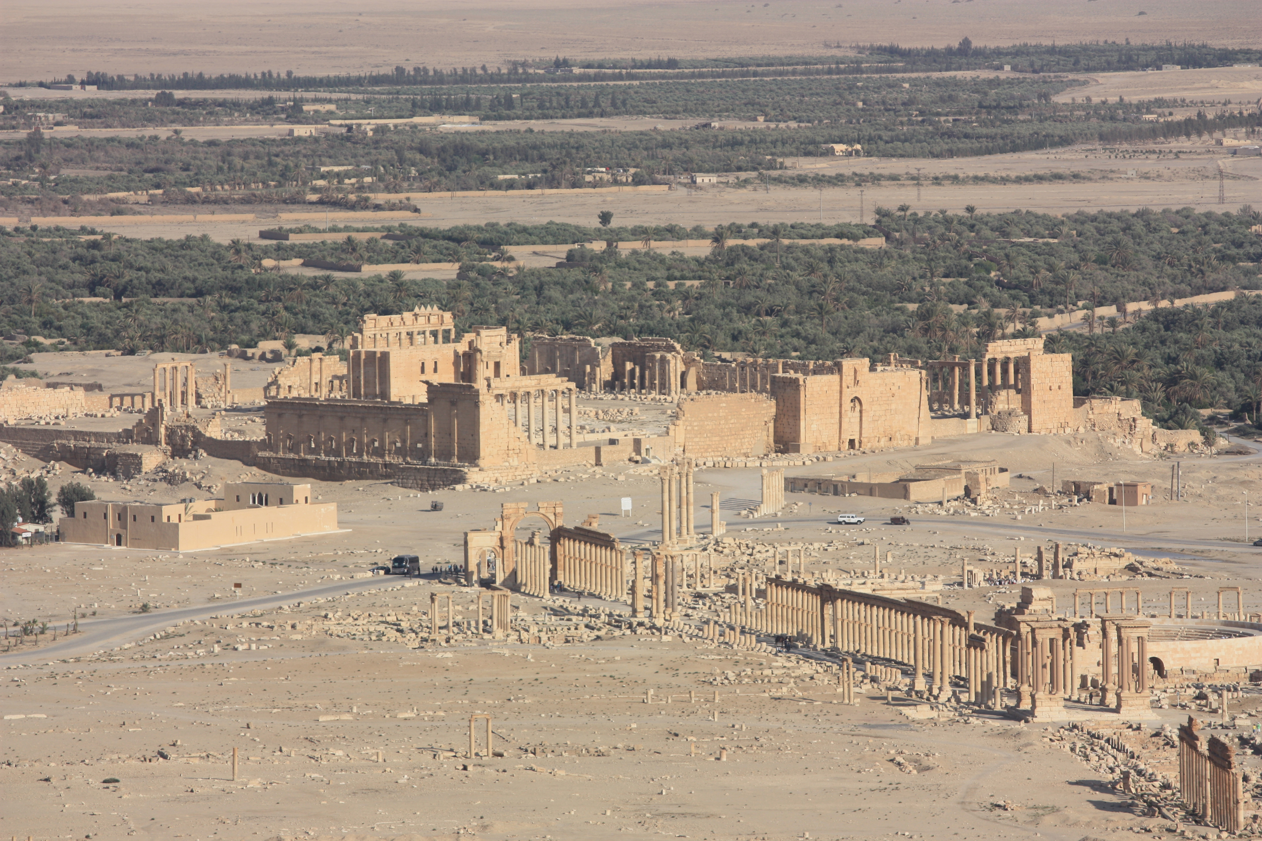 An aerial view of the ancient ruins of Palmyra. Image by Arian Zwegers. This file is licensed under the Creative Commons Attribution 2.0 Generic license.