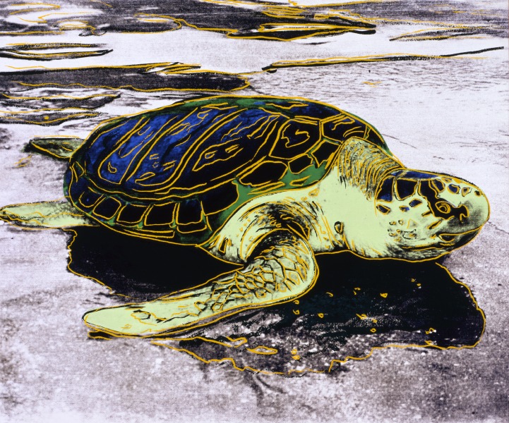 Andy Warhol, 'Sea Turtle,' 1985, acrylic and silkscreen ink on canvas. The Andy Warhol Museum, Pittsburgh; Founding Collection, Contribution The Andy Warhol Foundation for the Visual Arts, Inc., 1998.1.409; © 2015 The Andy Warhol Foundation for the Visual Arts, Inc. / Artists Rights Society (ARS), New York