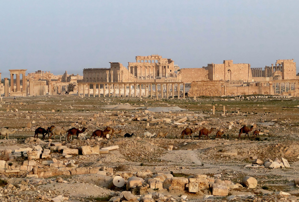 The ruins of Palmyra in 2010. Image by Bernard Gagnon. This file is licensed under the Creative Commons Attribution-Share Alike 3.0 Unported, 2.5 Generic, 2.0 Generic and 1.0 Generic license. 