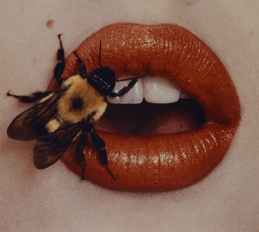 Irving Penn, ‘Bee, New York, 1995, printed 2001,’ chromogenic print, 21 1/2 x 24 in (54.6 x 61.0 cm). Smithsonian American Art Museum, Promised gift of Irving Penn Foundation. Copyright © The Irving Penn Foundation
