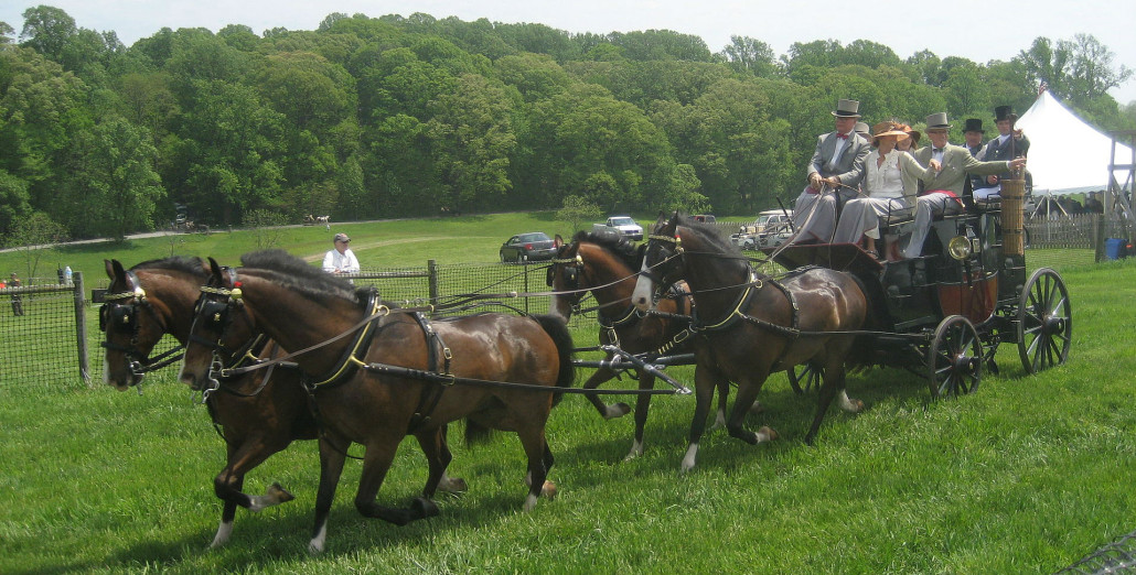 Frolic Weymouth leading the carriage parade at Wintherthur Museums annual Point-to-Point. Littleinfo image, courtesy of Wikimedia Commons