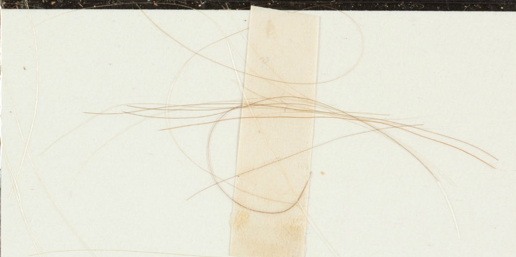Lock of Thomas Jefferson's hair. Heritage Auctions image 