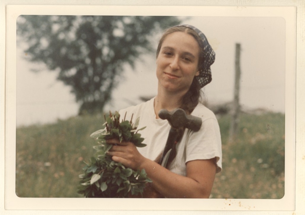 Kerry Abram picking basil in 1973 at Frog Run Farm in East Charleston, Vermont. Photo by Lucy Horton from the personal collection of Mary Mathias. Provided by Vermont Historical Society