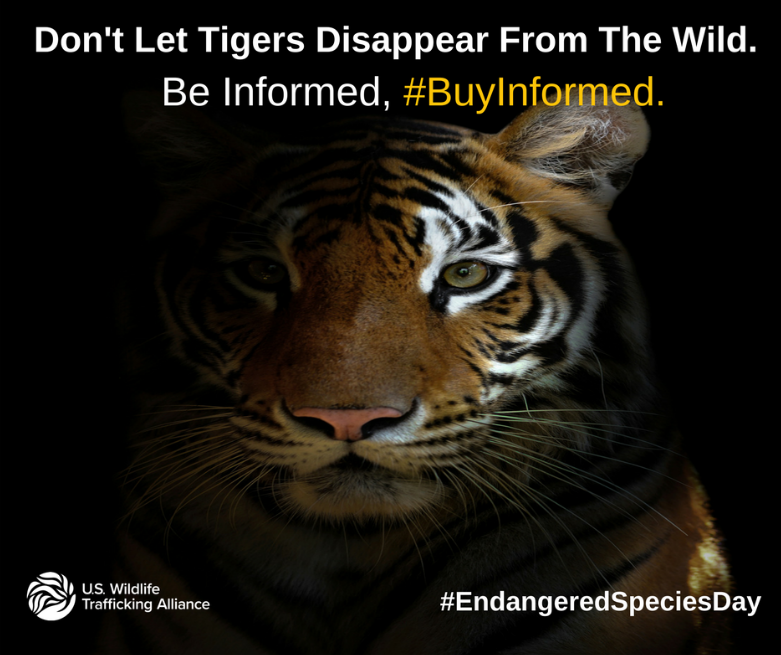 Endangered Species Day