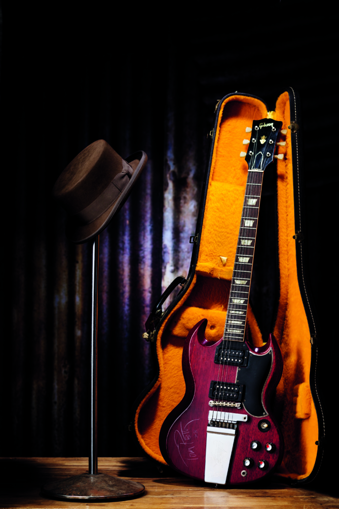 Tom Petty guitar