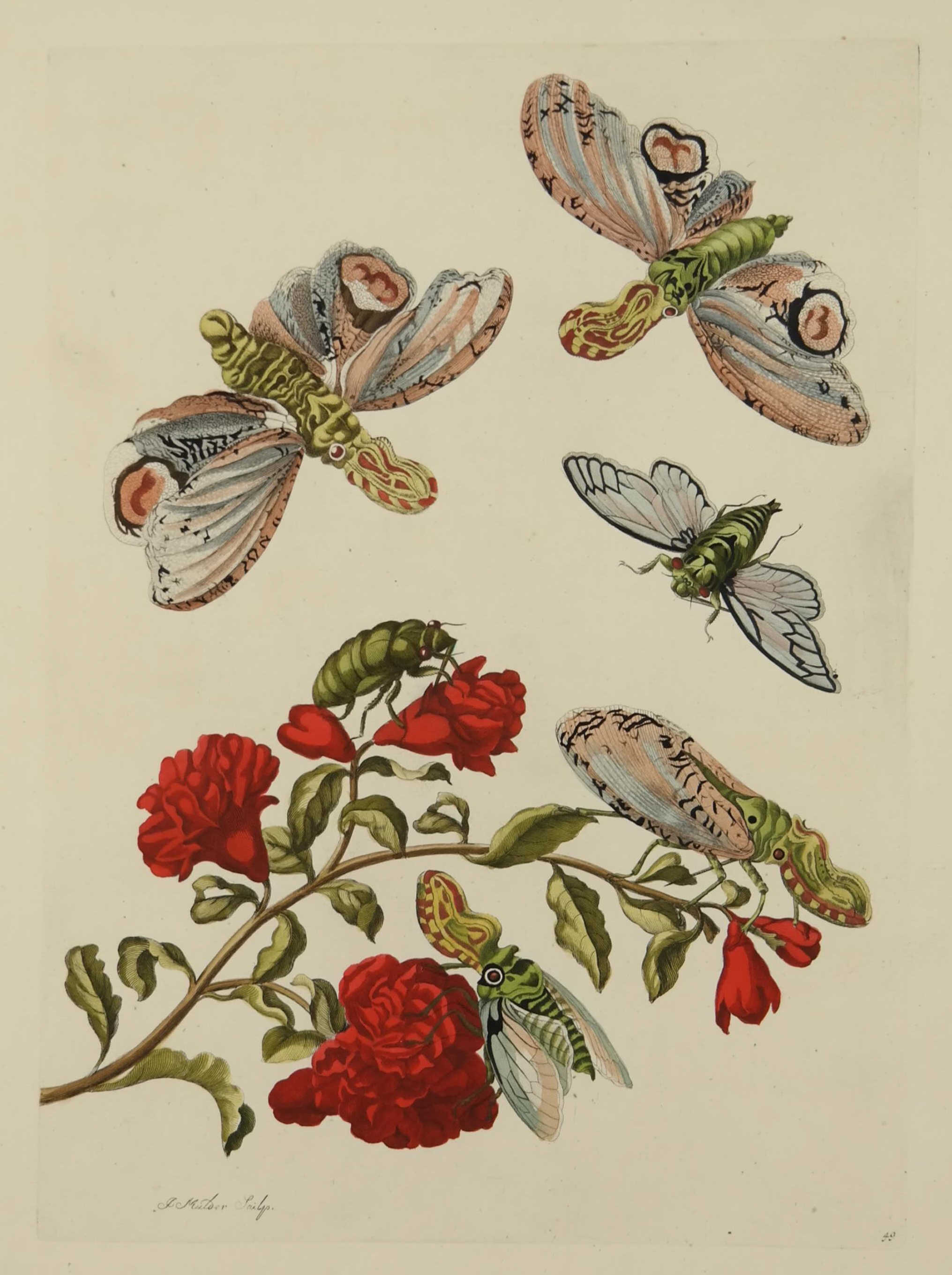 Waverly Sept. 13 auction features 15th-17th century books, nature prints, ephemera